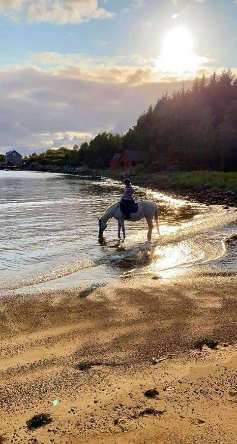 Kjørsvik Øvre Leilighet Tornes Eksteriør bilde