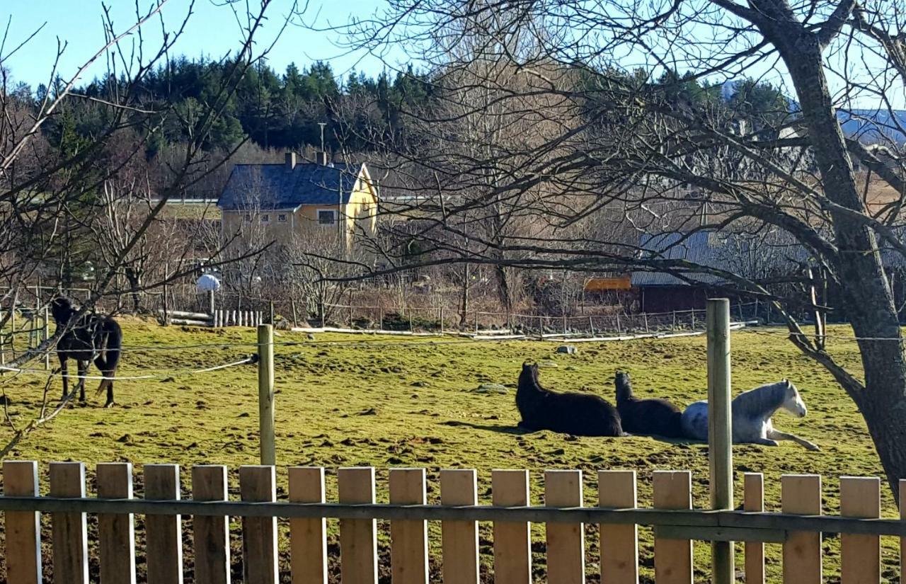 Kjørsvik Øvre Leilighet Tornes Eksteriør bilde