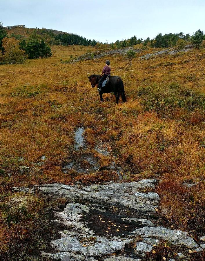 Kjørsvik Øvre Leilighet Tornes Eksteriør bilde